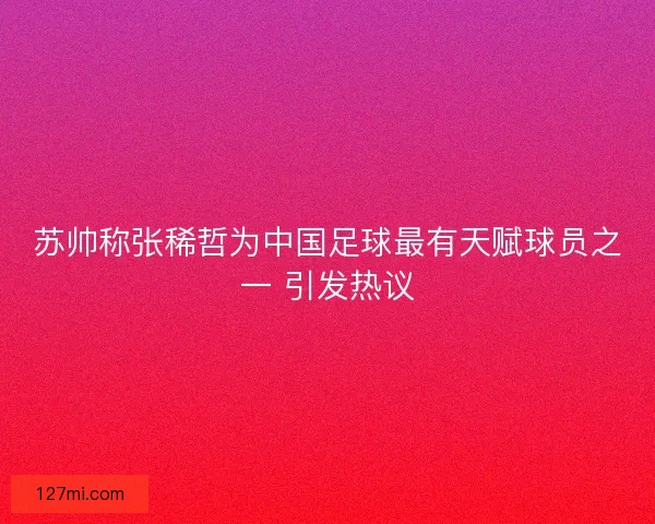 苏帅称张稀哲为中国足球最有天赋球员之一 引发热议 苏帅称张稀哲为中国足球最有天赋球员之一 引发热议