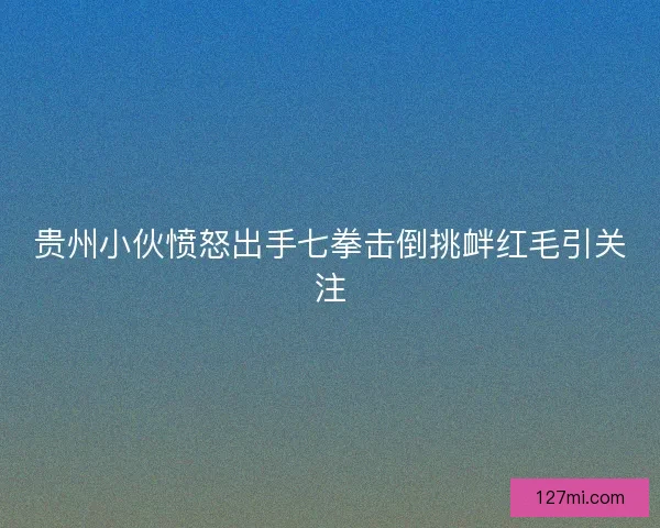 贵州小伙愤怒出手七拳击倒挑衅红毛引关注